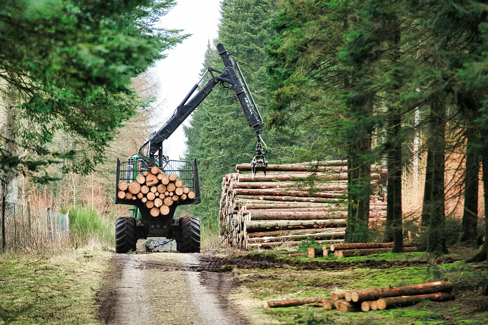 Forstmaschine stapelt Stämme an der Waldstrasse