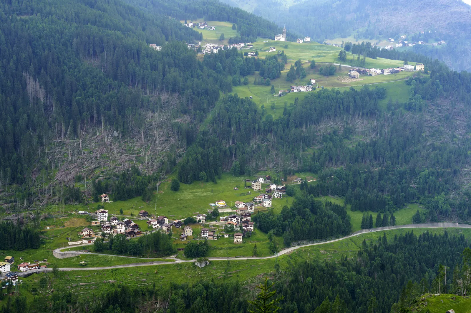Bewaldete Berghänge in den Alpen